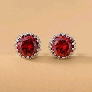 Red Rhinestone Silver Earrings